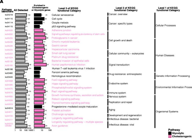 https://cdn.ncbi.nlm.nih.gov/pmc/blobs/7aae/8359075/232e32cf2280/40246_2021_350_Fig6_HTML.jpg