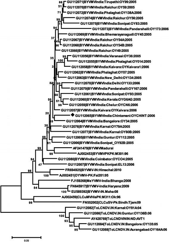 https://cdn.ncbi.nlm.nih.gov/pmc/blobs/7aaf/3824786/62d796f6628b/13205_2012_107_Fig1_HTML.jpg