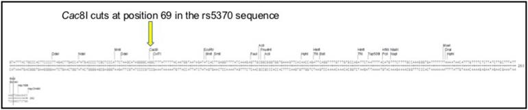 https://cdn.ncbi.nlm.nih.gov/pmc/blobs/7aaf/6147159/ea8d69c6f712/figs1.jpg