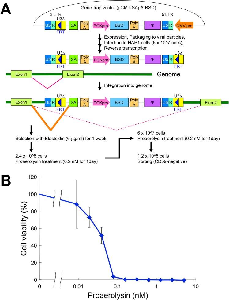 https://cdn.ncbi.nlm.nih.gov/pmc/blobs/7ab0/4575048/0e6e96c9bed1/pone.0138553.g001.jpg