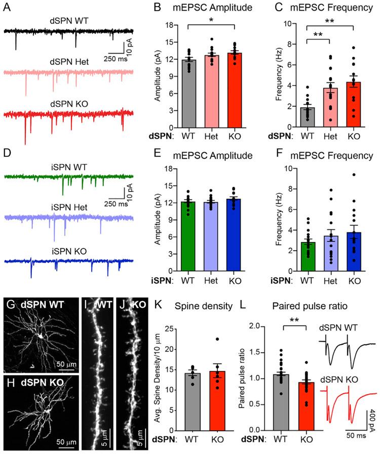 https://cdn.ncbi.nlm.nih.gov/pmc/blobs/7ab0/8404511/3d80eab80c01/nihms-1732333-f0005.jpg