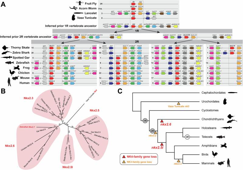 https://cdn.ncbi.nlm.nih.gov/pmc/blobs/7ab1/12019251/4fea747dab26/41467_2025_58821_Fig1_HTML.jpg