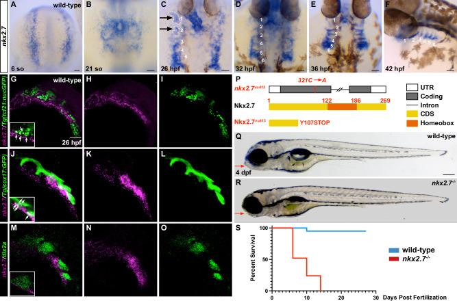 https://cdn.ncbi.nlm.nih.gov/pmc/blobs/7ab1/12019251/a8d0b0c73da7/41467_2025_58821_Fig2_HTML.jpg