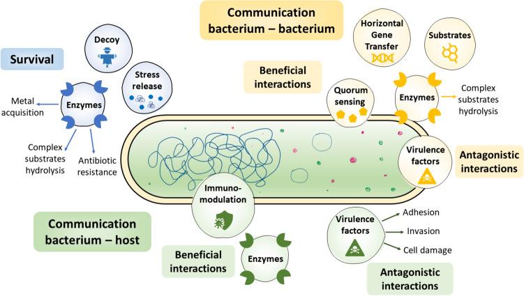 https://cdn.ncbi.nlm.nih.gov/pmc/blobs/7ab2/11032300/62f362ed3262/11274_2024_3963_Fig2_HTML.jpg