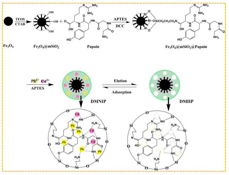 https://cdn.ncbi.nlm.nih.gov/pmc/blobs/7ab2/11243660/0a8a2ab33ce8/molecules-29-03160-g010.jpg