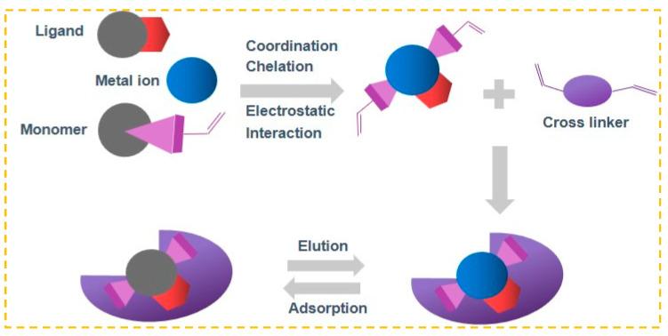 https://cdn.ncbi.nlm.nih.gov/pmc/blobs/7ab2/11243660/3ebd01fb81f1/molecules-29-03160-g001.jpg