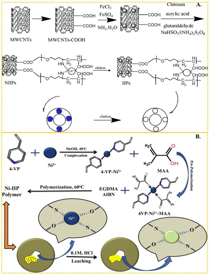 https://cdn.ncbi.nlm.nih.gov/pmc/blobs/7ab2/11243660/4324de3598d0/molecules-29-03160-g003.jpg