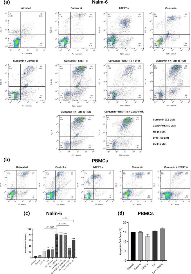 https://cdn.ncbi.nlm.nih.gov/pmc/blobs/7ab2/11760345/8af5412ec646/41598_2025_85329_Fig2_HTML.jpg