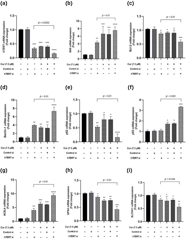 https://cdn.ncbi.nlm.nih.gov/pmc/blobs/7ab2/11760345/bbf67345c9b0/41598_2025_85329_Fig6_HTML.jpg