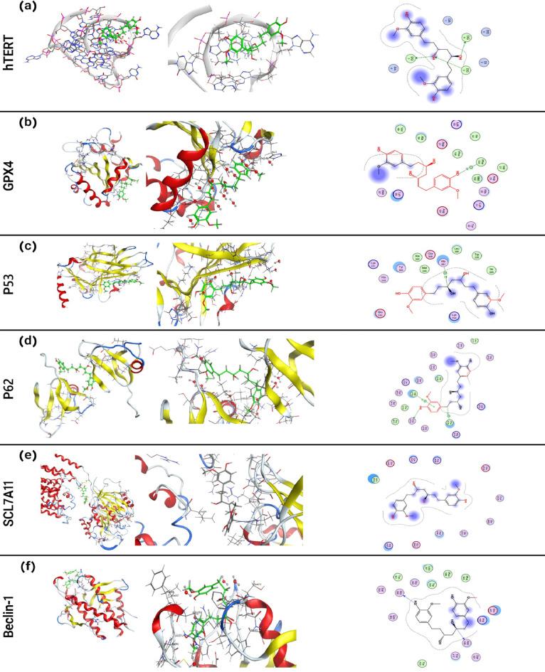 https://cdn.ncbi.nlm.nih.gov/pmc/blobs/7ab2/11760345/c0f1943173e8/41598_2025_85329_Fig8_HTML.jpg