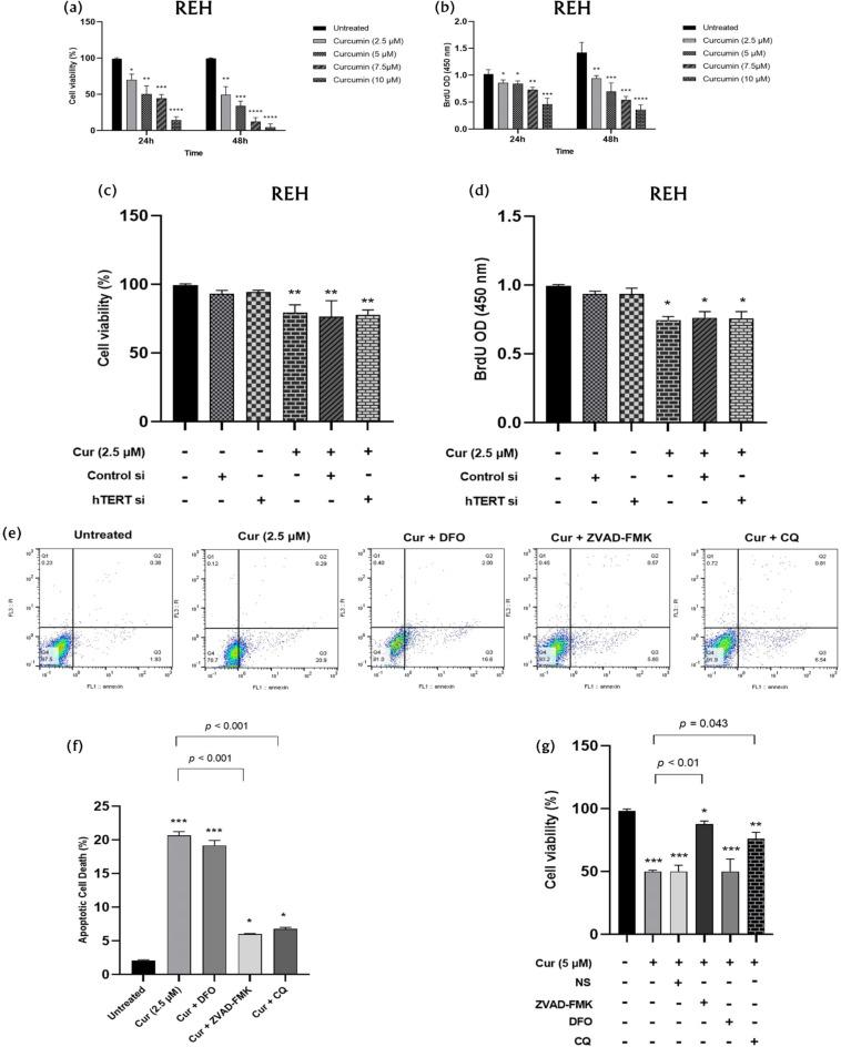 https://cdn.ncbi.nlm.nih.gov/pmc/blobs/7ab2/11760345/d1d3f6945f4d/41598_2025_85329_Fig3_HTML.jpg