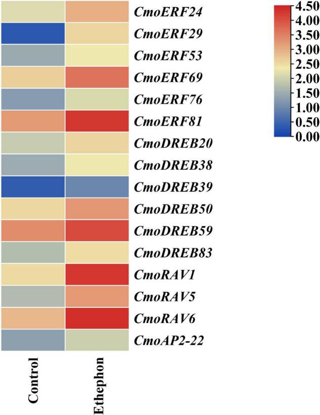 https://cdn.ncbi.nlm.nih.gov/pmc/blobs/7ab3/8965380/5978f35a0aea/fpls-13-847754-g007.jpg