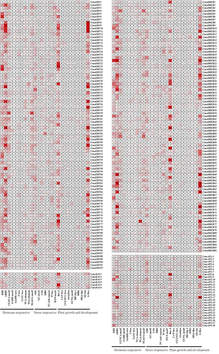 https://cdn.ncbi.nlm.nih.gov/pmc/blobs/7ab3/8965380/d661dbab6362/fpls-13-847754-g006.jpg