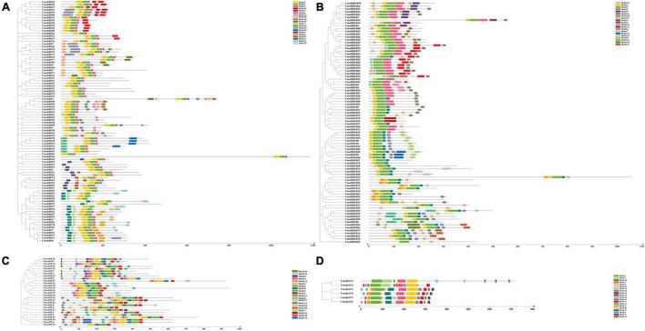 https://cdn.ncbi.nlm.nih.gov/pmc/blobs/7ab3/8965380/e201dc56641e/fpls-13-847754-g003.jpg