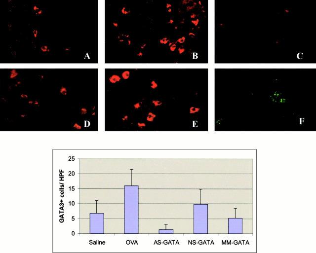 https://cdn.ncbi.nlm.nih.gov/pmc/blobs/7ab4/2193377/19997f0adf5f/JEM001310.f2.jpg