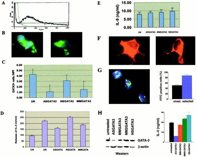 https://cdn.ncbi.nlm.nih.gov/pmc/blobs/7ab4/2193377/363a2ddd9fd5/JEM001310.f1.jpg