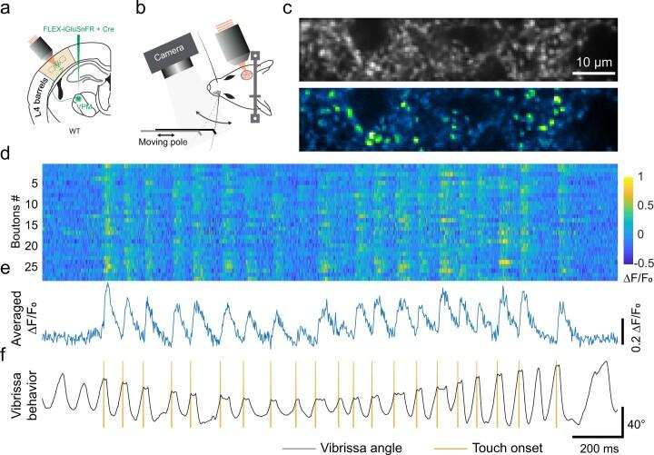 https://cdn.ncbi.nlm.nih.gov/pmc/blobs/7ab5/10250197/232f3ca97675/41592_2023_1863_Fig14_ESM.jpg