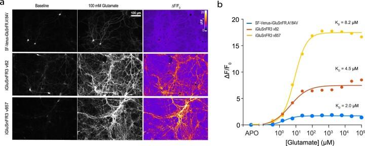 https://cdn.ncbi.nlm.nih.gov/pmc/blobs/7ab5/10250197/e7e46356f851/41592_2023_1863_Fig11_ESM.jpg