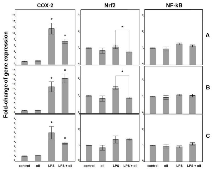 https://cdn.ncbi.nlm.nih.gov/pmc/blobs/7ab5/5439385/63f642d78e22/bi-7-13-g005.jpg