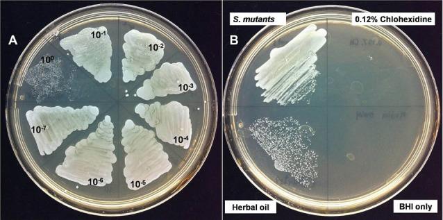 https://cdn.ncbi.nlm.nih.gov/pmc/blobs/7ab5/5439385/da6127021a9b/bi-7-13-g007.jpg
