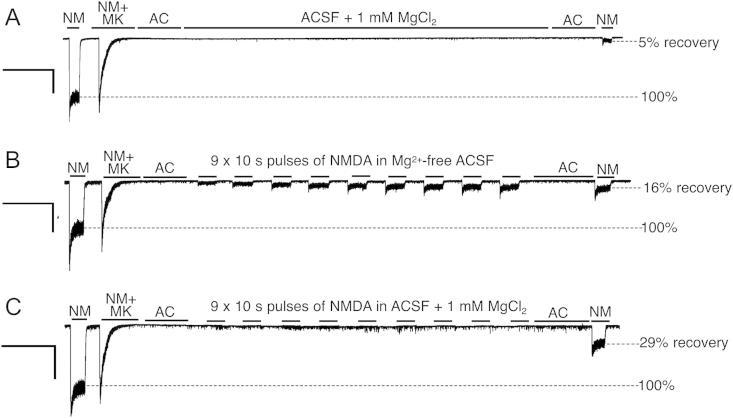https://cdn.ncbi.nlm.nih.gov/pmc/blobs/7ab6/3778432/ff0248afa290/gr2.jpg