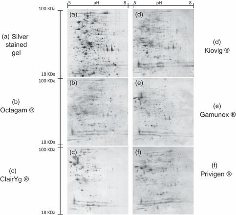 https://cdn.ncbi.nlm.nih.gov/pmc/blobs/7ab8/3580880/c37079fe4e48/vox0104-0115-f3.jpg