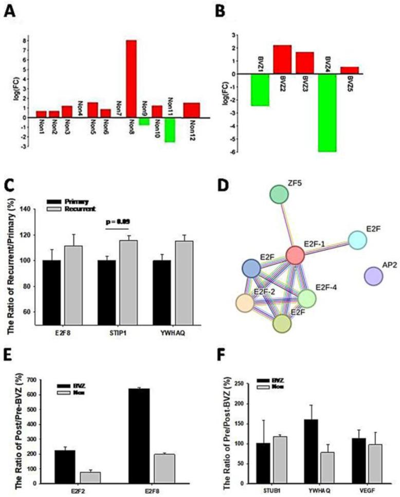 https://cdn.ncbi.nlm.nih.gov/pmc/blobs/7aba/11275000/cac7489c09e3/cancers-16-02536-g006.jpg