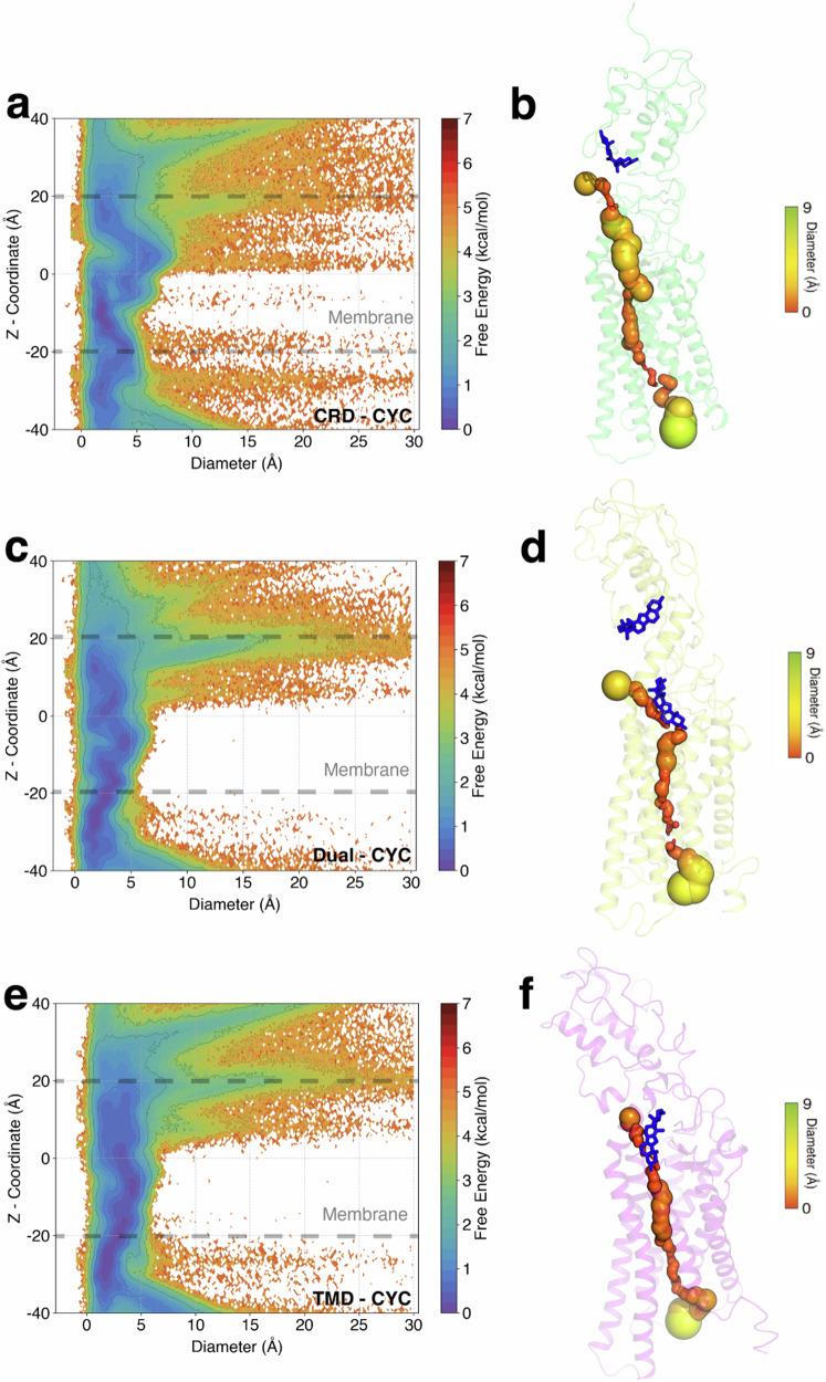 https://cdn.ncbi.nlm.nih.gov/pmc/blobs/7aba/11438977/0ec1c845d22d/42003_2024_6906_Fig6_HTML.jpg