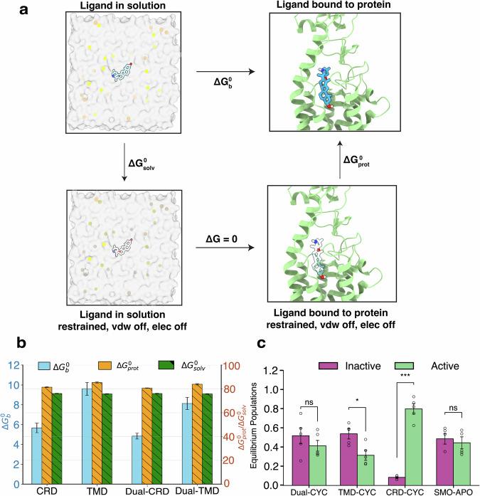 https://cdn.ncbi.nlm.nih.gov/pmc/blobs/7aba/11438977/1bb98a8e680f/42003_2024_6906_Fig2_HTML.jpg