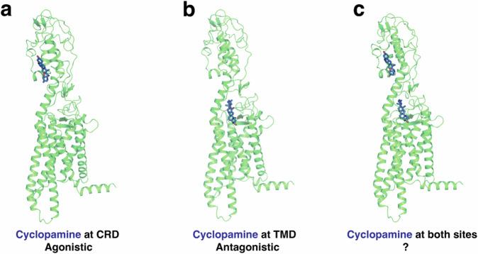 https://cdn.ncbi.nlm.nih.gov/pmc/blobs/7aba/11438977/98f91de1cef5/42003_2024_6906_Fig1_HTML.jpg