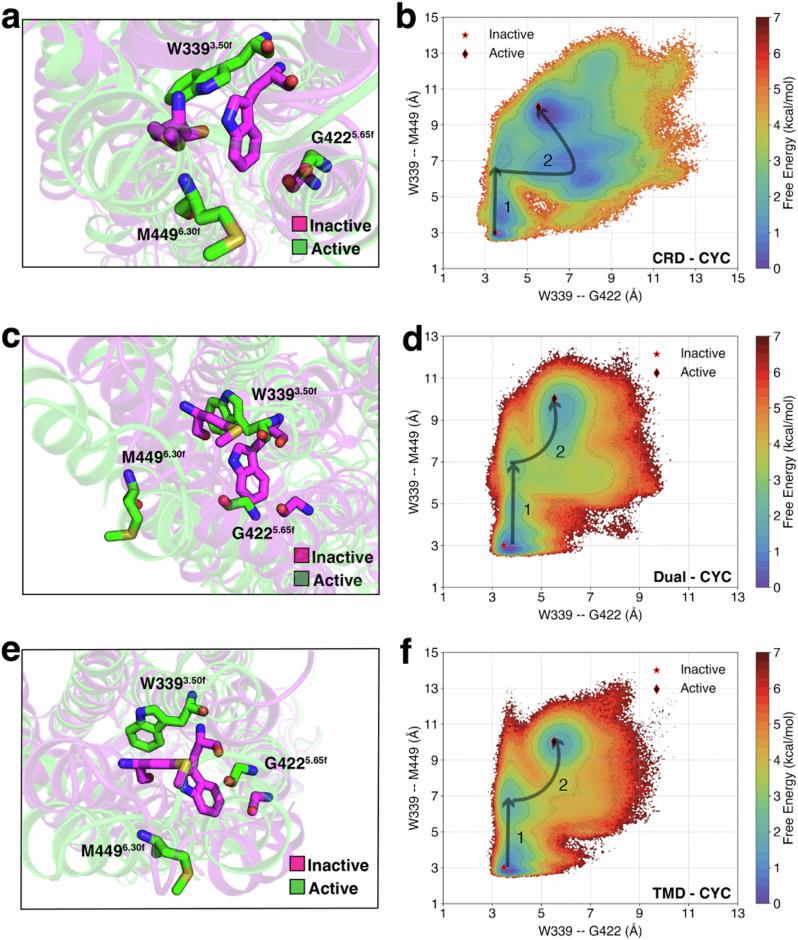 https://cdn.ncbi.nlm.nih.gov/pmc/blobs/7aba/11438977/efbd71310ad2/42003_2024_6906_Fig3_HTML.jpg