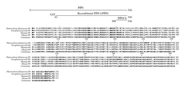 https://cdn.ncbi.nlm.nih.gov/pmc/blobs/7abc/3270442/9209857cfbc5/JBB2012-695843.001.jpg