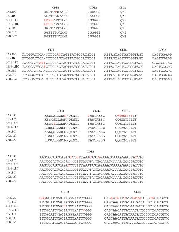 https://cdn.ncbi.nlm.nih.gov/pmc/blobs/7abc/3270442/a185aec0df7b/JBB2012-695843.002.jpg