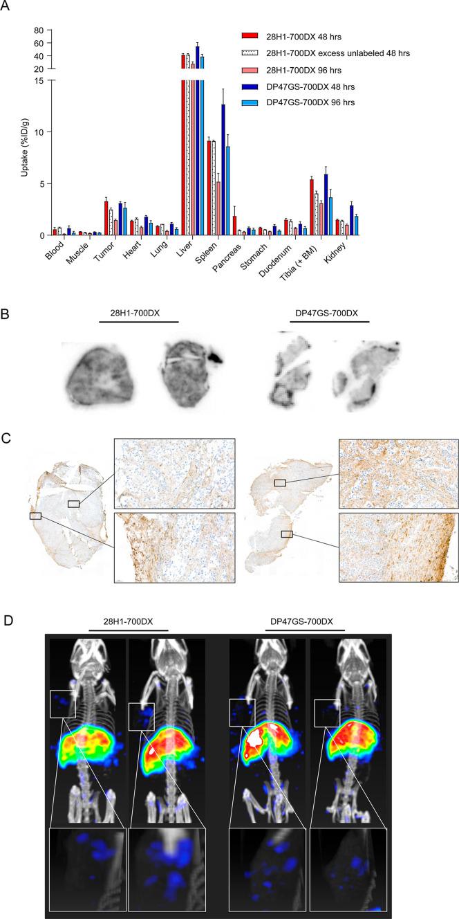 https://cdn.ncbi.nlm.nih.gov/pmc/blobs/7ac0/10410663/e1ba68d9662b/mp3c00453_0003.jpg