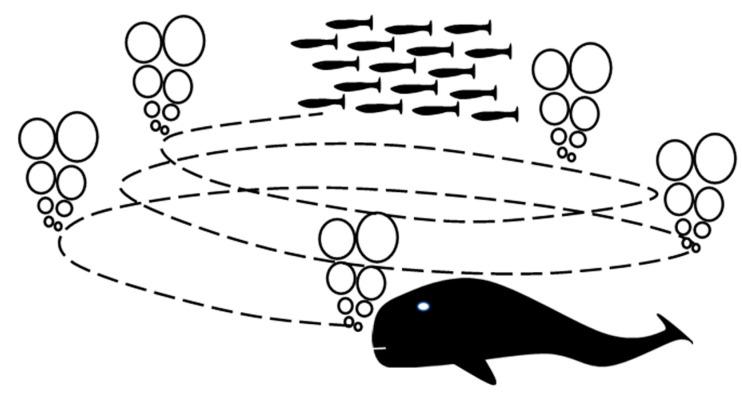 https://cdn.ncbi.nlm.nih.gov/pmc/blobs/7ac1/10143162/0be0291066b7/sensors-23-03988-g001.jpg
