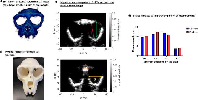 https://cdn.ncbi.nlm.nih.gov/pmc/blobs/7ac2/10794232/8261a849f4c0/41598_2024_51623_Fig5_HTML.jpg