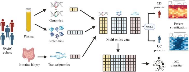 https://cdn.ncbi.nlm.nih.gov/pmc/blobs/7ac2/11792892/36bb4f01e078/jjae197_fig1.jpg