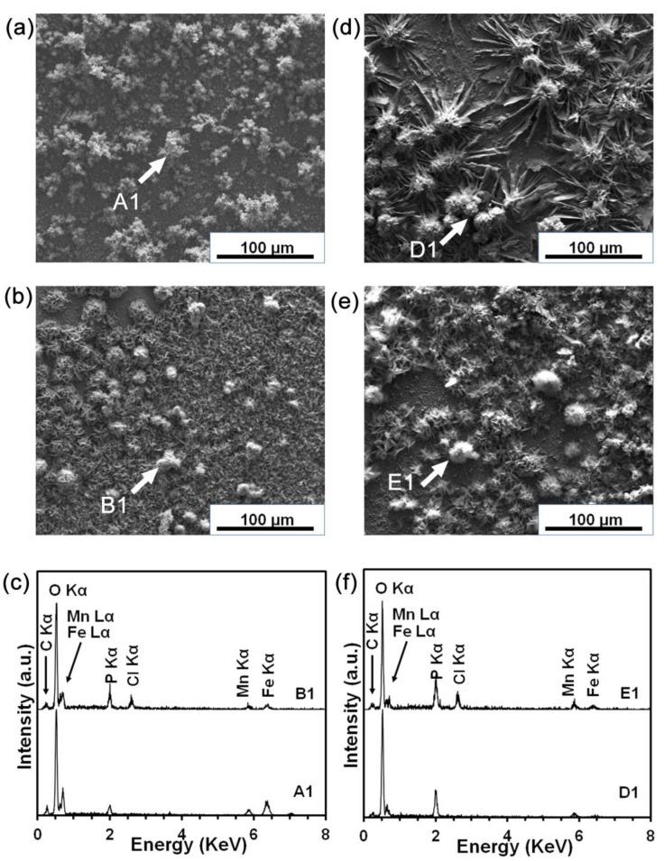https://cdn.ncbi.nlm.nih.gov/pmc/blobs/7ac2/9919902/2621e6269207/materials-16-01048-g005.jpg