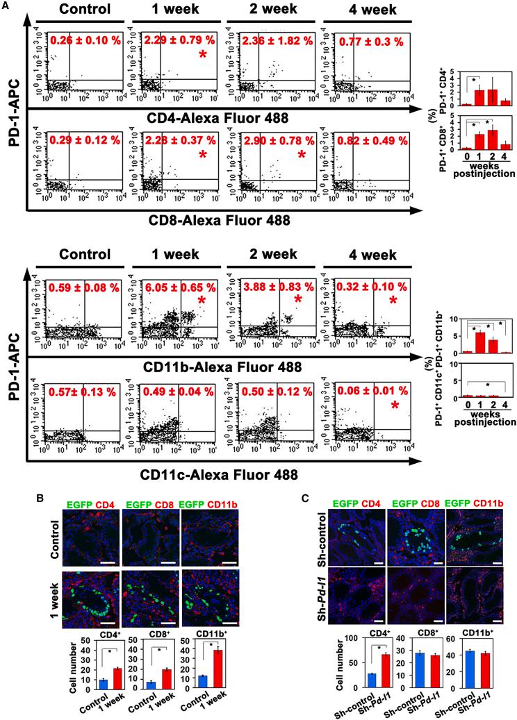 https://cdn.ncbi.nlm.nih.gov/pmc/blobs/7ac4/10147552/0cf60b40a35c/gr4.jpg