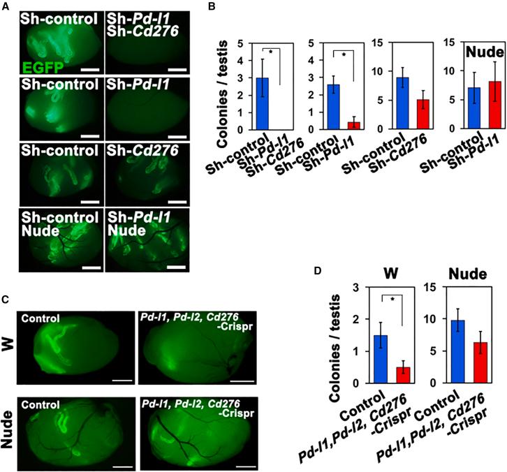 https://cdn.ncbi.nlm.nih.gov/pmc/blobs/7ac4/10147552/df9cfce8637a/gr3.jpg