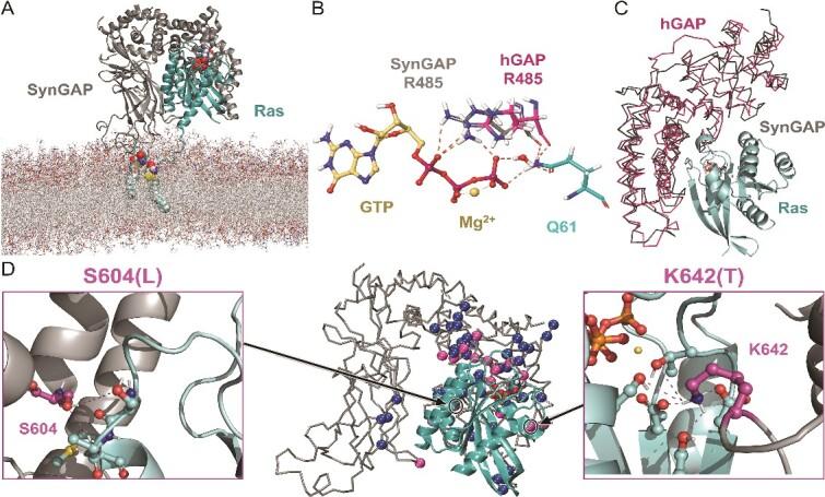 https://cdn.ncbi.nlm.nih.gov/pmc/blobs/7ac4/11418247/48c4b0ddcc1b/bbae458f3.jpg