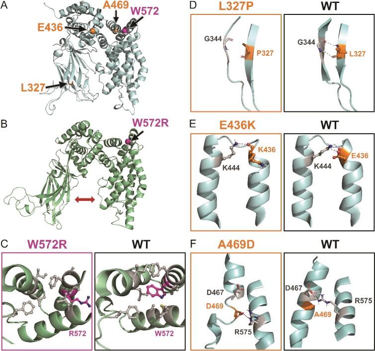 https://cdn.ncbi.nlm.nih.gov/pmc/blobs/7ac4/11418247/668b3965adde/bbae458f4.jpg