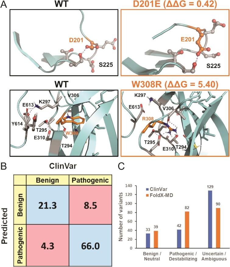 https://cdn.ncbi.nlm.nih.gov/pmc/blobs/7ac4/11418247/89a939c84a00/bbae458f5.jpg