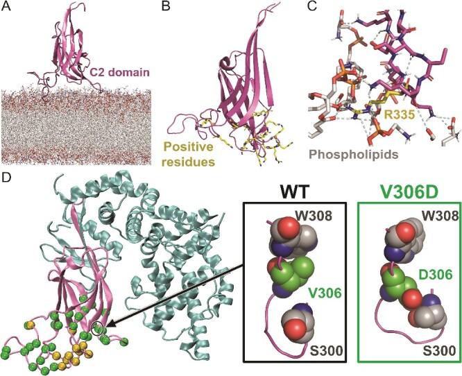 https://cdn.ncbi.nlm.nih.gov/pmc/blobs/7ac4/11418247/dd9250438b54/bbae458f2.jpg