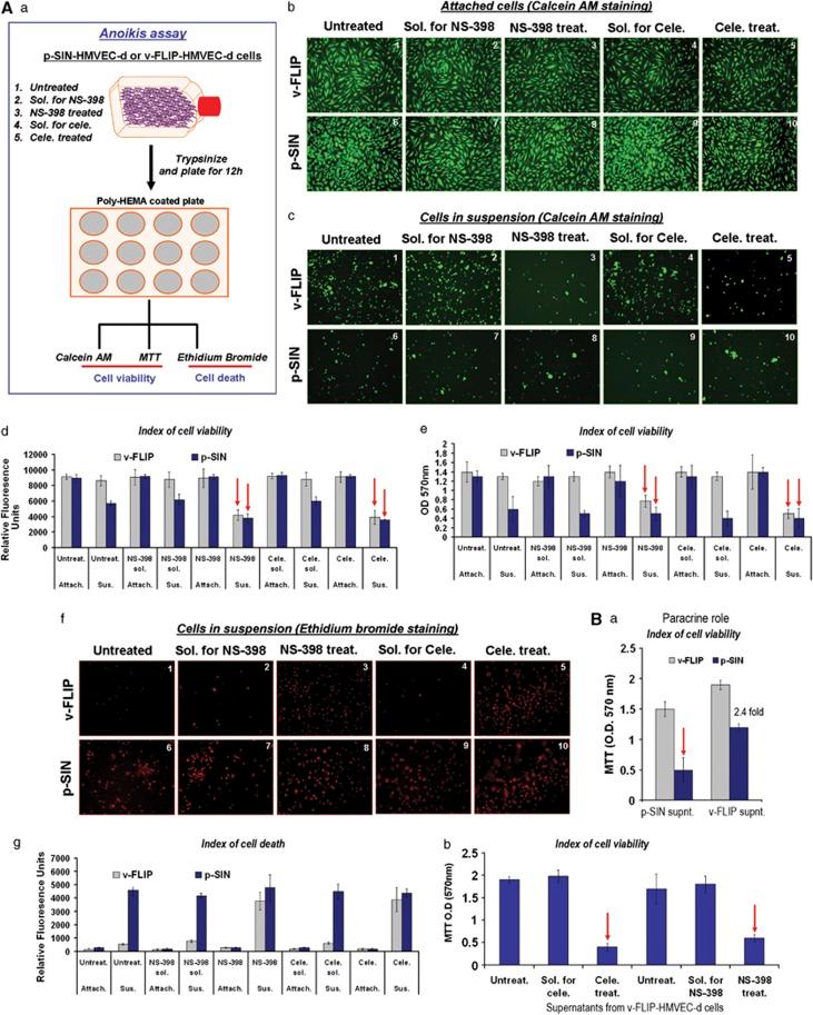 https://cdn.ncbi.nlm.nih.gov/pmc/blobs/7ac8/3412643/2b310b8c2143/oncsis20125f6.jpg