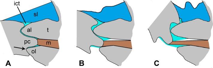 https://cdn.ncbi.nlm.nih.gov/pmc/blobs/7ac8/5156572/bb034bb781dd/pone.0167533.g015.jpg