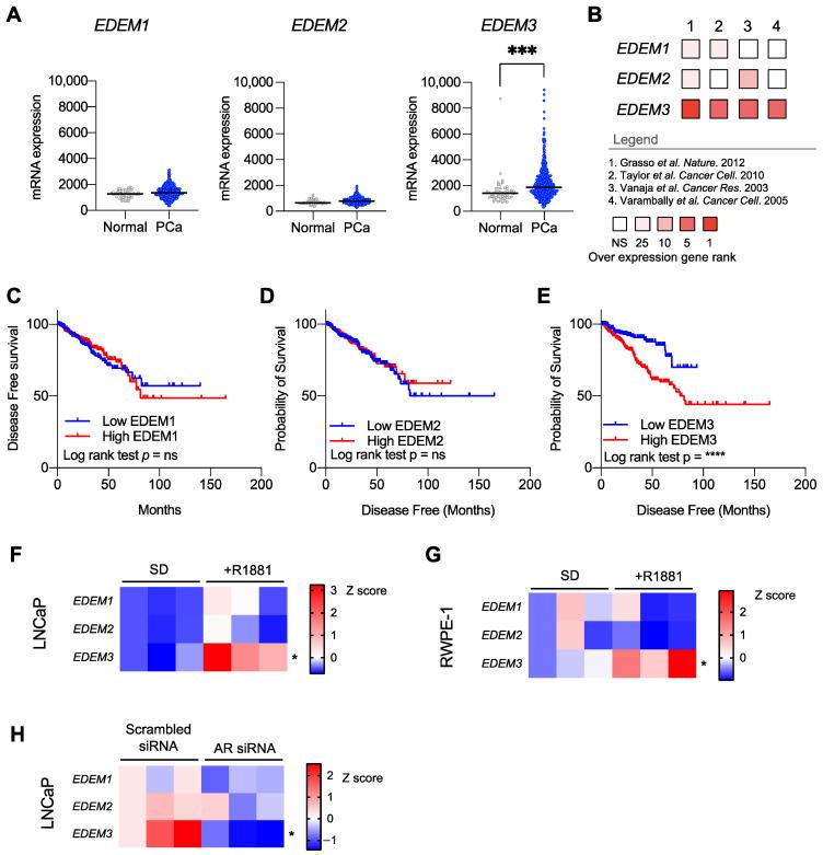 https://cdn.ncbi.nlm.nih.gov/pmc/blobs/7aca/9332126/50e4cbbda995/ijms-23-08184-g001.jpg