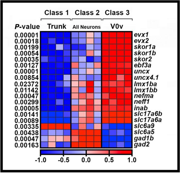 https://cdn.ncbi.nlm.nih.gov/pmc/blobs/7acb/10683209/b759aaf0e578/13064_2023_176_Fig1_HTML.jpg