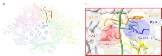 https://cdn.ncbi.nlm.nih.gov/pmc/blobs/7acb/12254338/7d9bcf861259/41598_2025_8418_Fig1_HTML.jpg