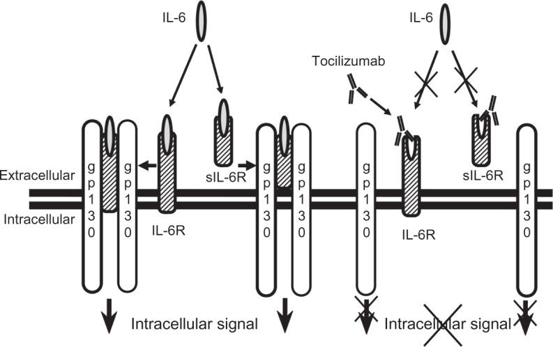 https://cdn.ncbi.nlm.nih.gov/pmc/blobs/7acb/5045101/3c8bab5364e5/oarrr-4-071Fig2.jpg